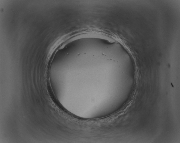 X0000062640007200601111138