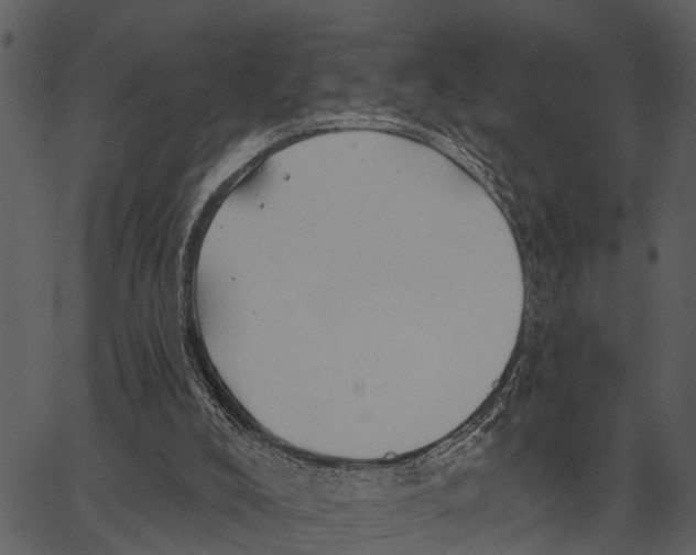 X0000062640008200601111138