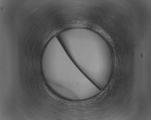 X0000062640009200601111138