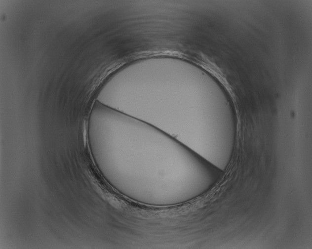 X0000062640013200601111137