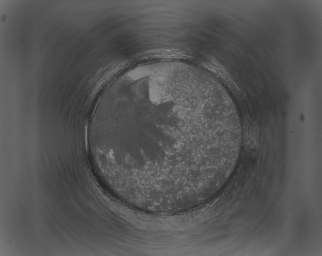 X0000062640014200601111137