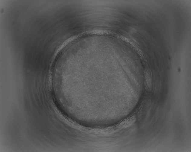 X0000062640016200601111137