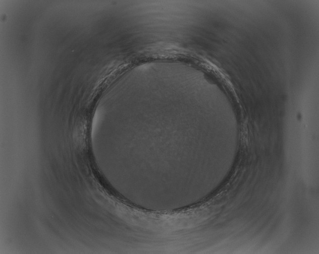 X0000062640018200601111137