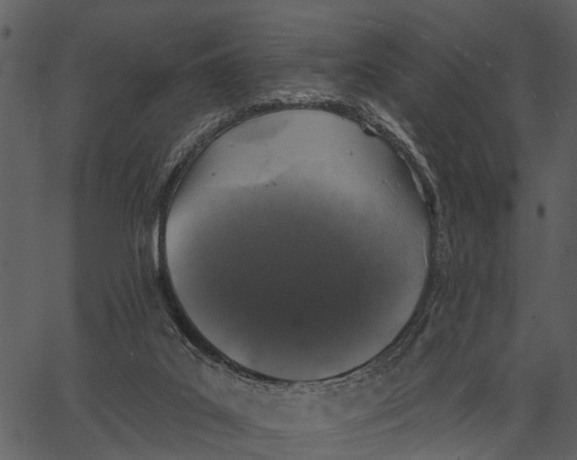 X0000062640019200601111137