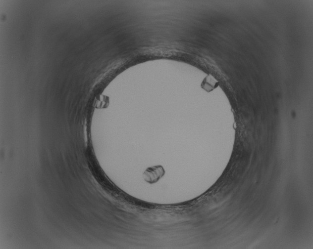 X0000062640020200601111137