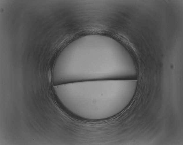 X0000062640021200601111137