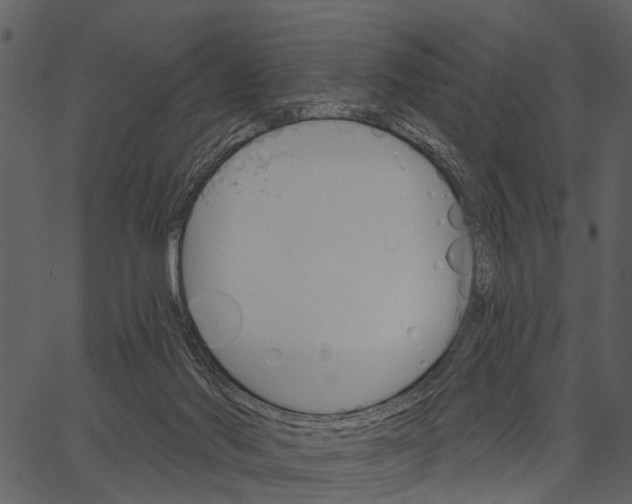 X0000062640022200601111137