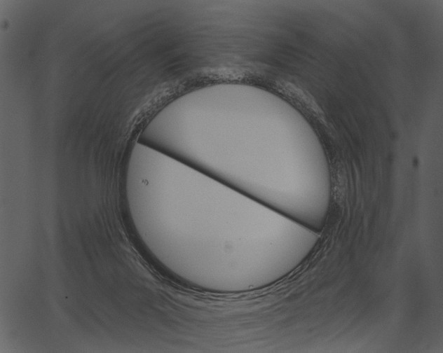 X0000062640023200601111137