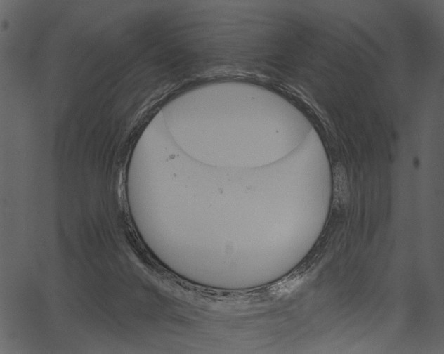 X0000062640024200601111137