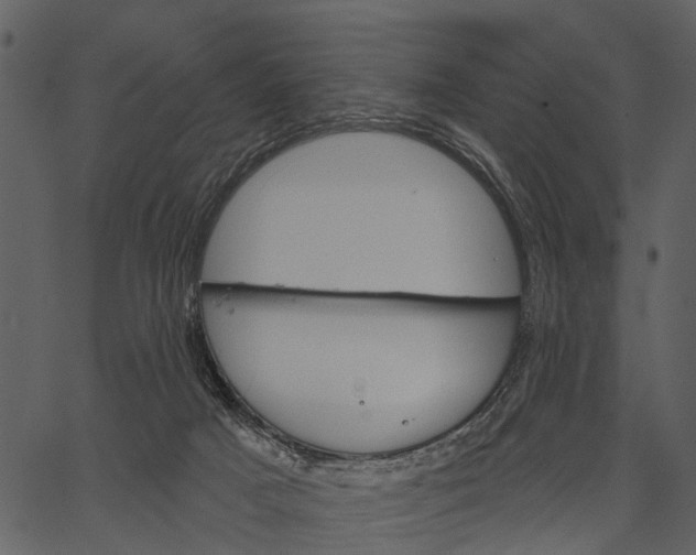 X0000062640025200601111137