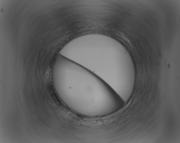 X0000062640029200601111137