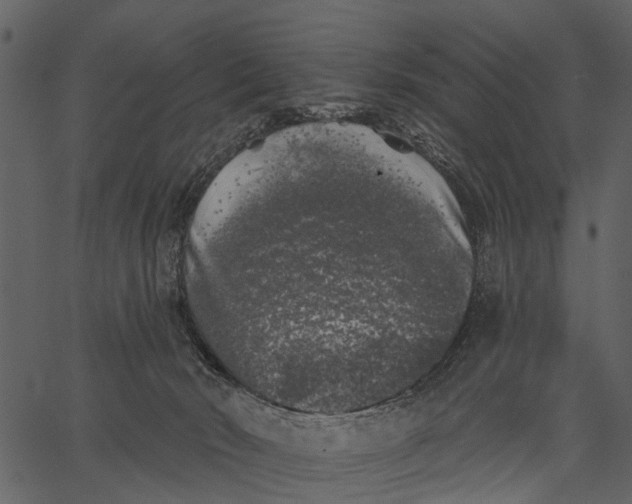 X0000062640030200601111137