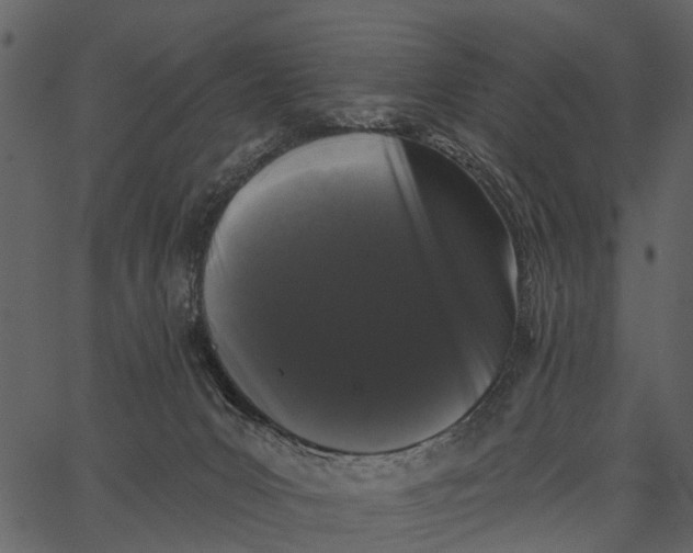 X0000062640031200601111137