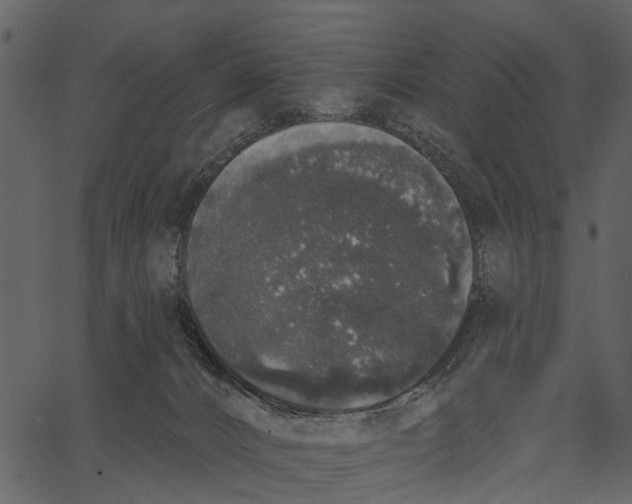 X0000062640032200601111137