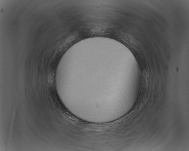 X0000062640033200601111137