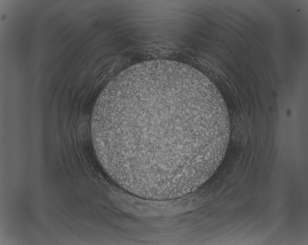 X0000062640034200601111137