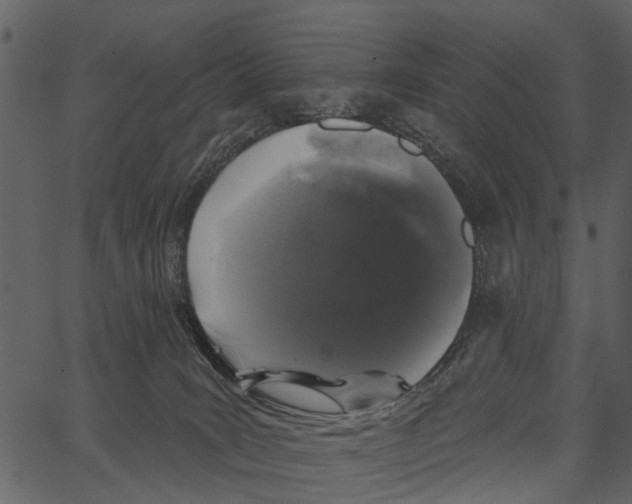 X0000062640035200601111137