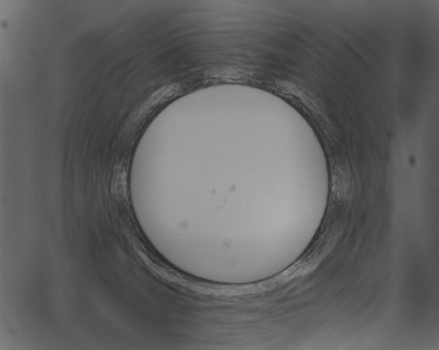 X0000062640036200601111137