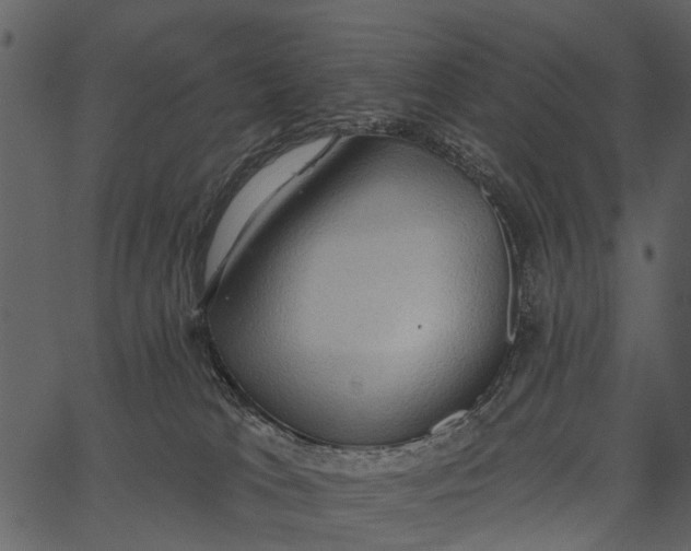 X0000062640037200601111137