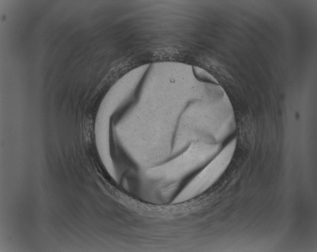 X0000062640038200601111137