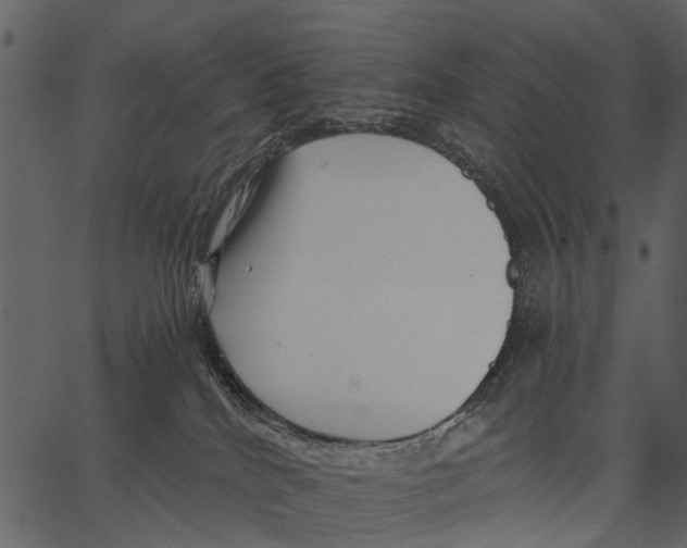 X0000062640040200601111137