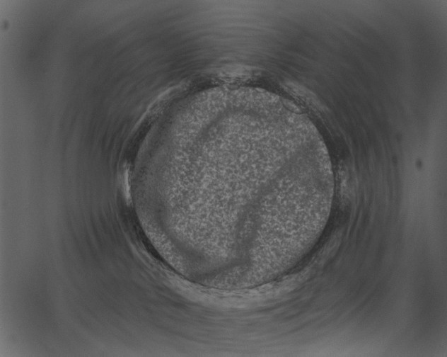 X0000062640042200601111137