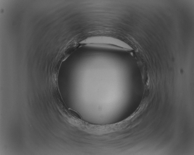 X0000062640045200601111137