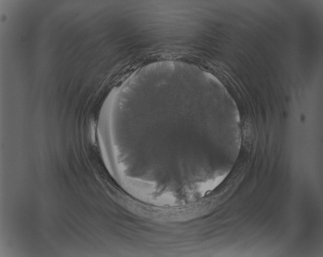 X0000062640046200601111137