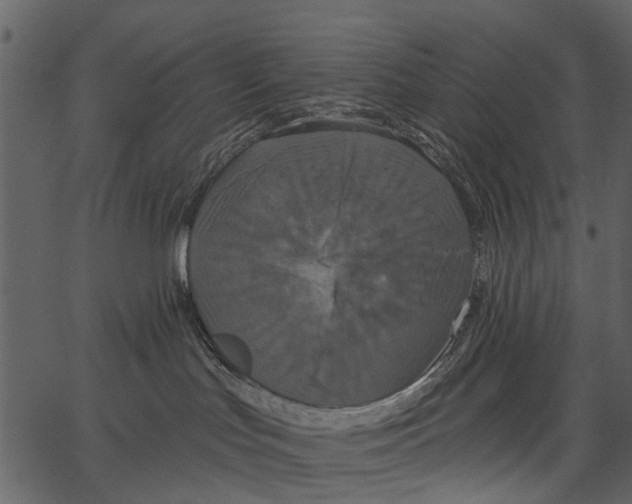 X0000062640047200601111137