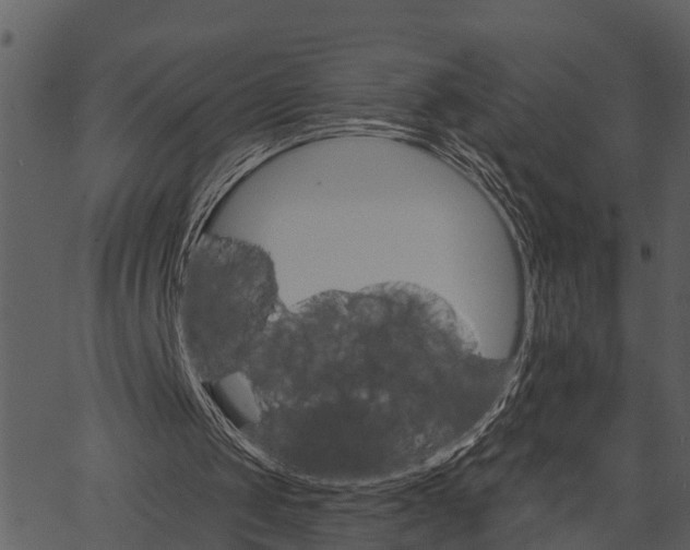 X0000062640049200601111136