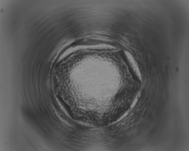 X0000062640050200601111136