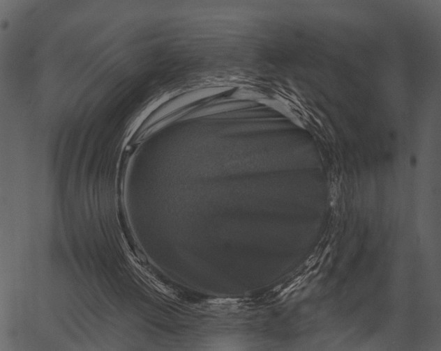 X0000062640052200601111136