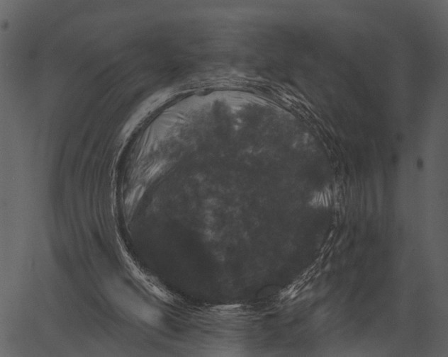 X0000062640054200601111136