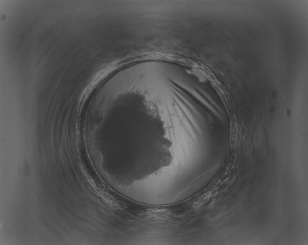 X0000062640055200601111136