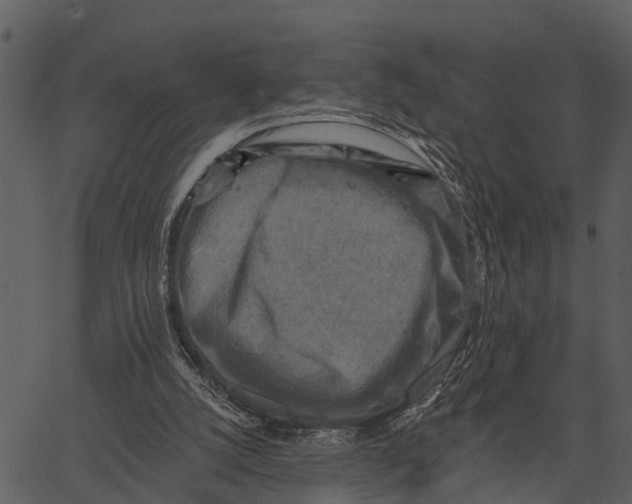 X0000062640056200601111136