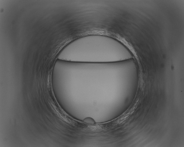 X0000062640057200601111136