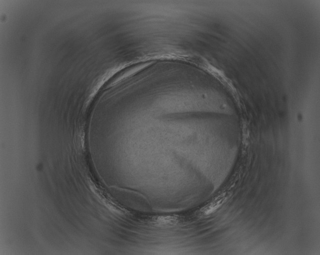 X0000062640060200601111136