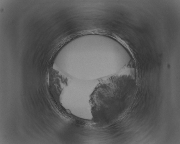 X0000062640061200601111136