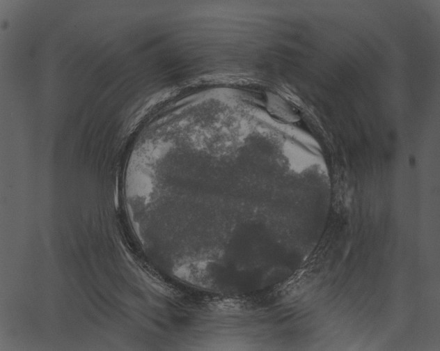 X0000062640062200601111136