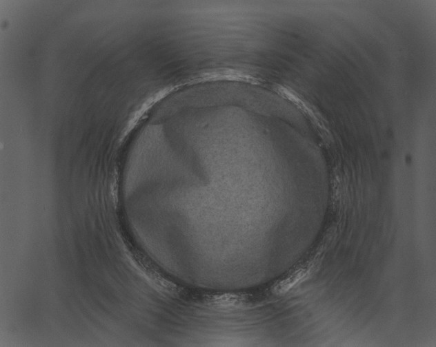 X0000062640064200601111136