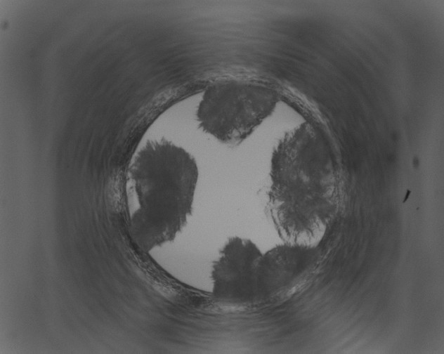 X0000062640065200601111136