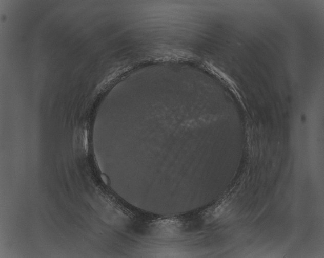 X0000062640067200601111136