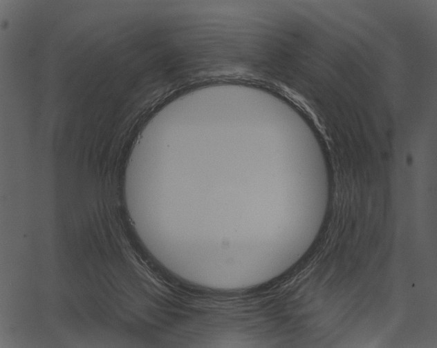 X0000062640069200601111136