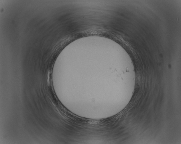 X0000062640070200601111136