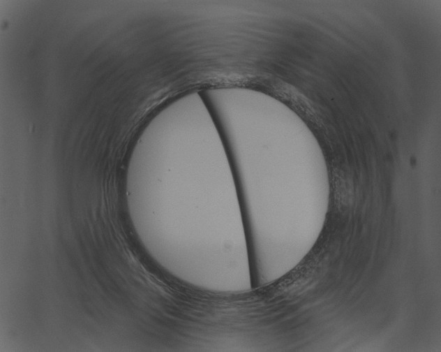 X0000062640071200601111136