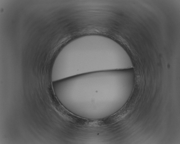 X0000062640072200601111136