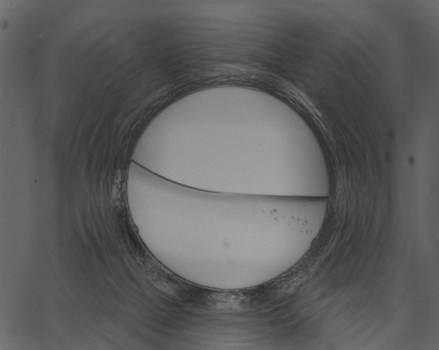 X0000062640073200601111136