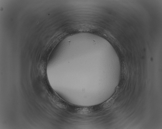 X0000062640074200601111137