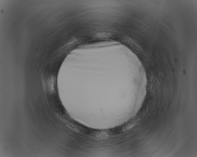 X0000062640075200601111137