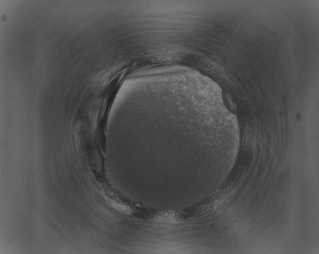 X0000062640076200601111137